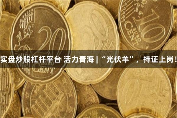 实盘炒股杠杆平台 活力青海 | “光伏羊”，持证上岗！
