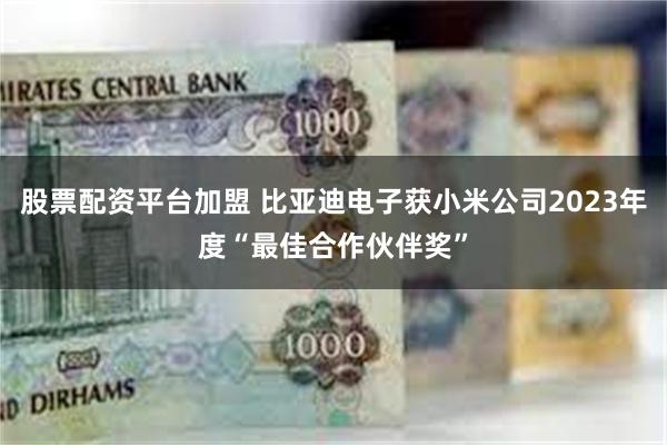 股票配资平台加盟 比亚迪电子获小米公司2023年度“最佳合作伙伴奖”