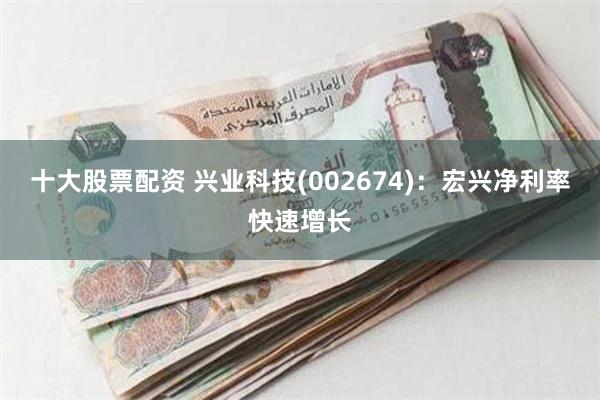 十大股票配资 兴业科技(002674)：宏兴净利率快速增长