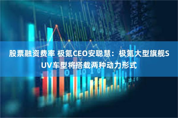 股票融资费率 极氪CEO安聪慧：极氪大型旗舰SUV车型将搭载两种动力形式