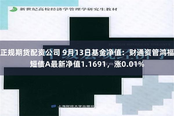 正规期货配资公司 9月13日基金净值：财通资管鸿福短债A最新净值1.1691，涨0.01%