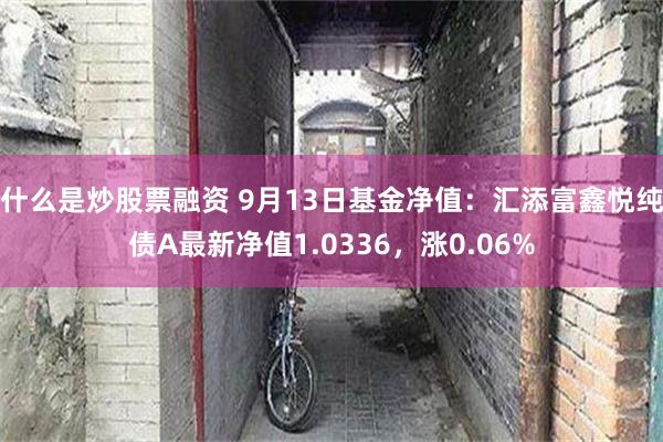 什么是炒股票融资 9月13日基金净值：汇添富鑫悦纯债A最新净值1.0336，涨0.06%