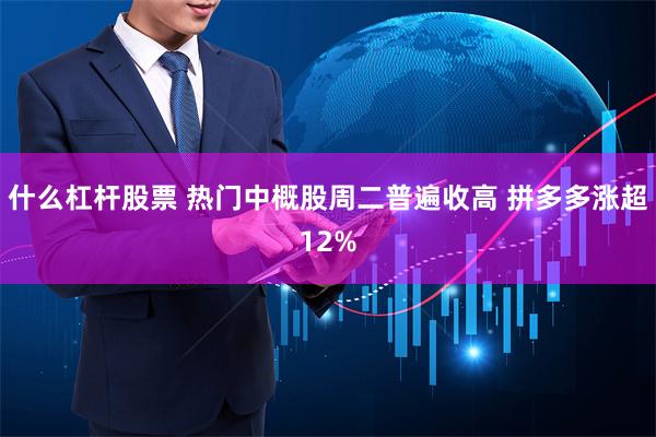 什么杠杆股票 热门中概股周二普遍收高 拼多多涨超12%