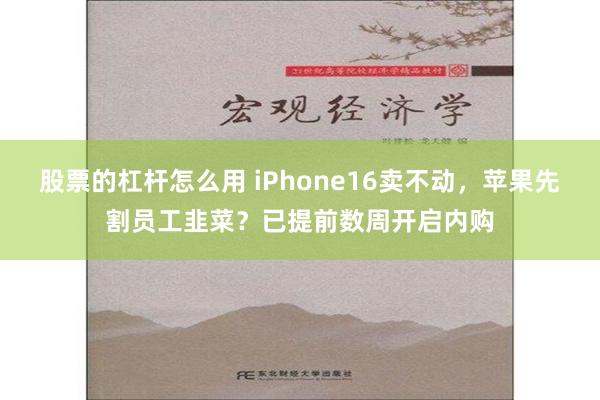 股票的杠杆怎么用 iPhone16卖不动，苹果先割员工韭菜？已提前数周开启内购