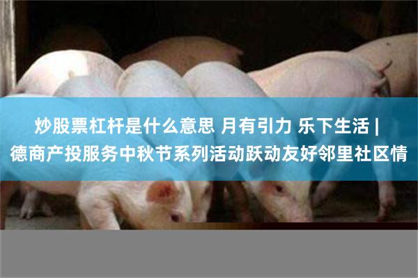 炒股票杠杆是什么意思 月有引力 乐下生活 | 德商产投服务中秋节系列活动跃动友好邻里社区情