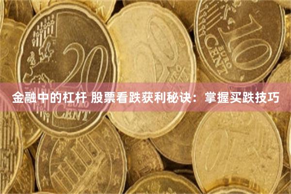 金融中的杠杆 股票看跌获利秘诀：掌握买跌技巧