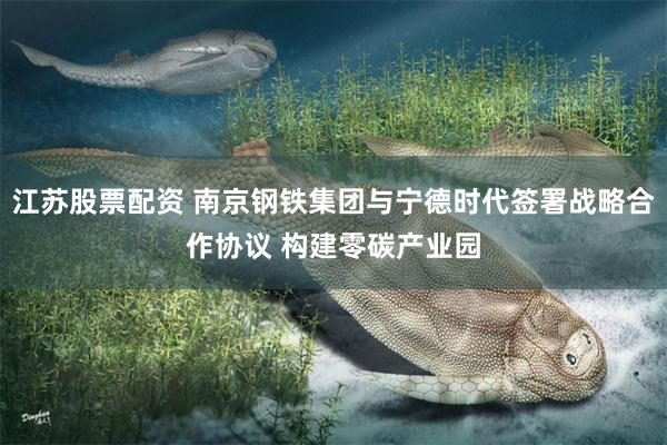 江苏股票配资 南京钢铁集团与宁德时代签署战略合作协议 构建零碳产业园