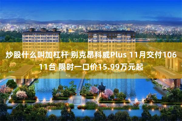 炒股什么叫加杠杆 别克昂科威Plus 11月交付10611台 限时一口价15.99万元起