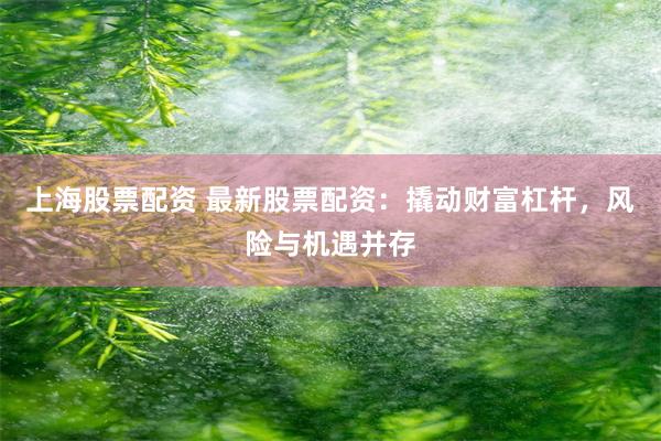 上海股票配资 最新股票配资：撬动财富杠杆，风险与机遇并存