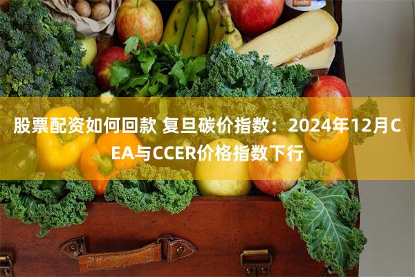 股票配资如何回款 复旦碳价指数：2024年12月CEA与CCER价格指数下行