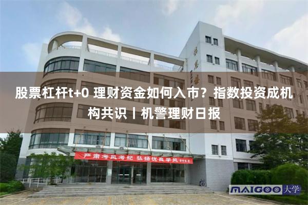 股票杠杆t+0 理财资金如何入市？指数投资成机构共识丨机警理财日报