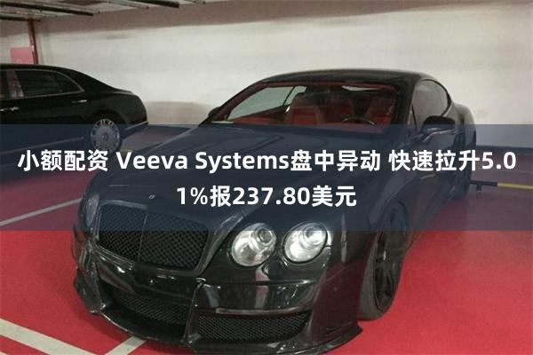 小额配资 Veeva Systems盘中异动 快速拉升5.01%报237.80美元