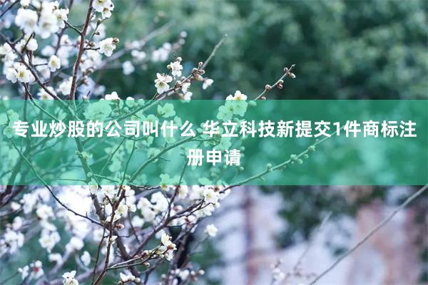 专业炒股的公司叫什么 华立科技新提交1件商标注册申请