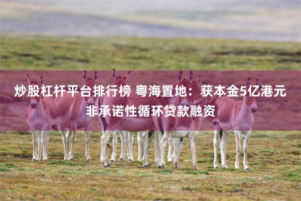 炒股杠杆平台排行榜 粤海置地：获本金5亿港元非承诺性循环贷款融资