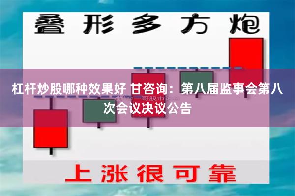 杠杆炒股哪种效果好 甘咨询：第八届监事会第八次会议决议公告