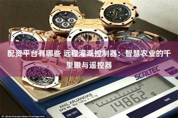 配资平台有哪些 远程灌溉控制器：智慧农业的千里眼与遥控器