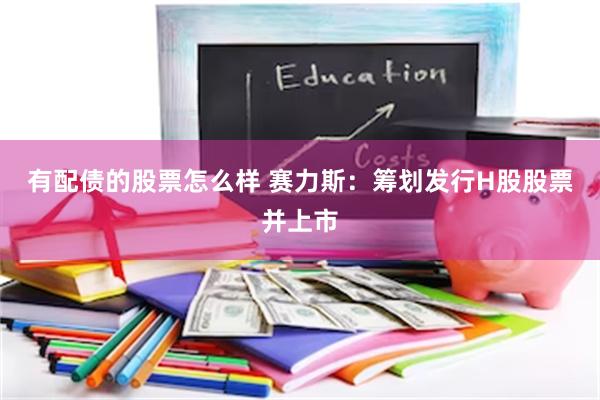 有配债的股票怎么样 赛力斯：筹划发行H股股票并上市