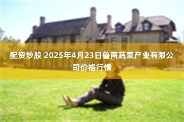 配资炒股 2025年4月23日鲁南蔬菜产业有限公司价格行情