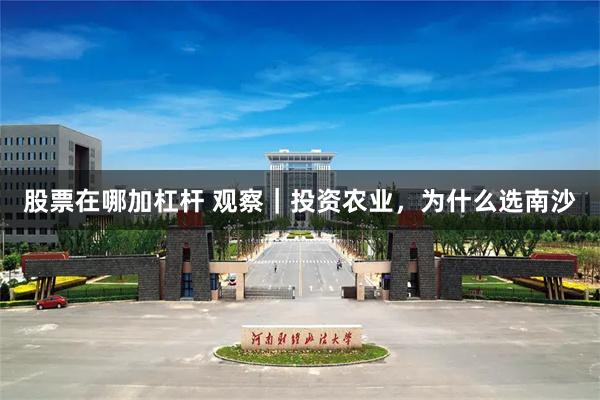 股票在哪加杠杆 观察｜投资农业，为什么选南沙