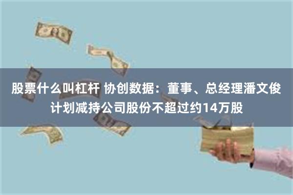 股票什么叫杠杆 协创数据：董事、总经理潘文俊计划减持公司股份不超过约14万股