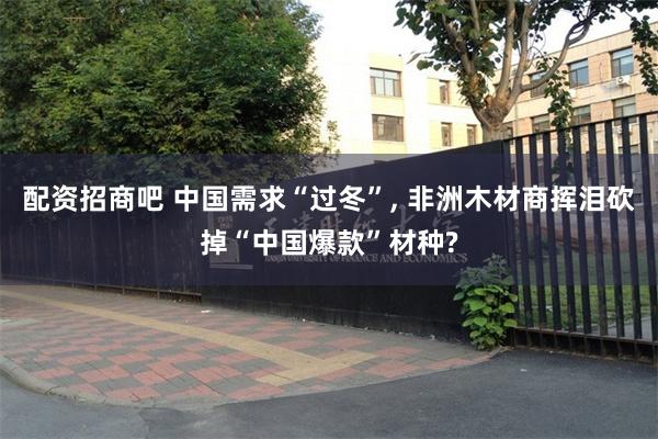 配资招商吧 中国需求“过冬”, 非洲木材商挥泪砍掉“中国爆款”材种?