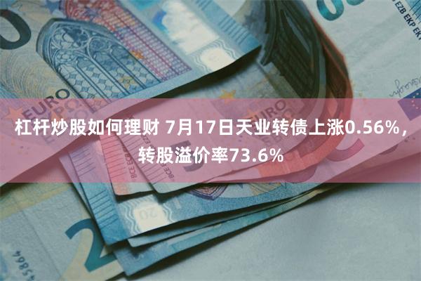 杠杆炒股如何理财 7月17日天业转债上涨0.56%，转股溢价率73.6%