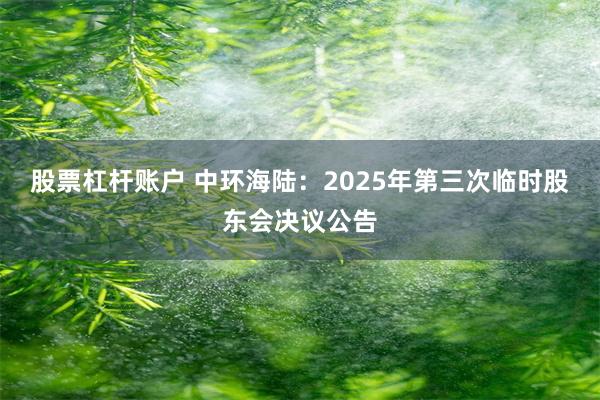 股票杠杆账户 中环海陆：2025年第三次临时股东会决议公告