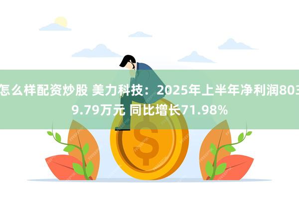 怎么样配资炒股 美力科技：2025年上半年净利润8039.79万元 同比增长71.98%