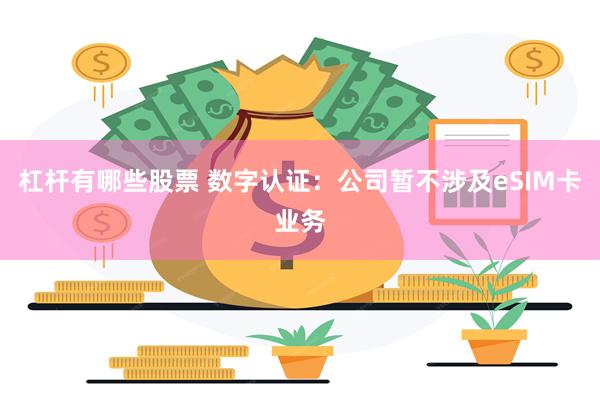 杠杆有哪些股票 数字认证：公司暂不涉及eSIM卡业务