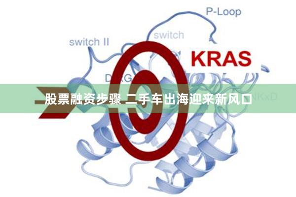 股票融资步骤 二手车出海迎来新风口